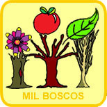 Mil Boscos